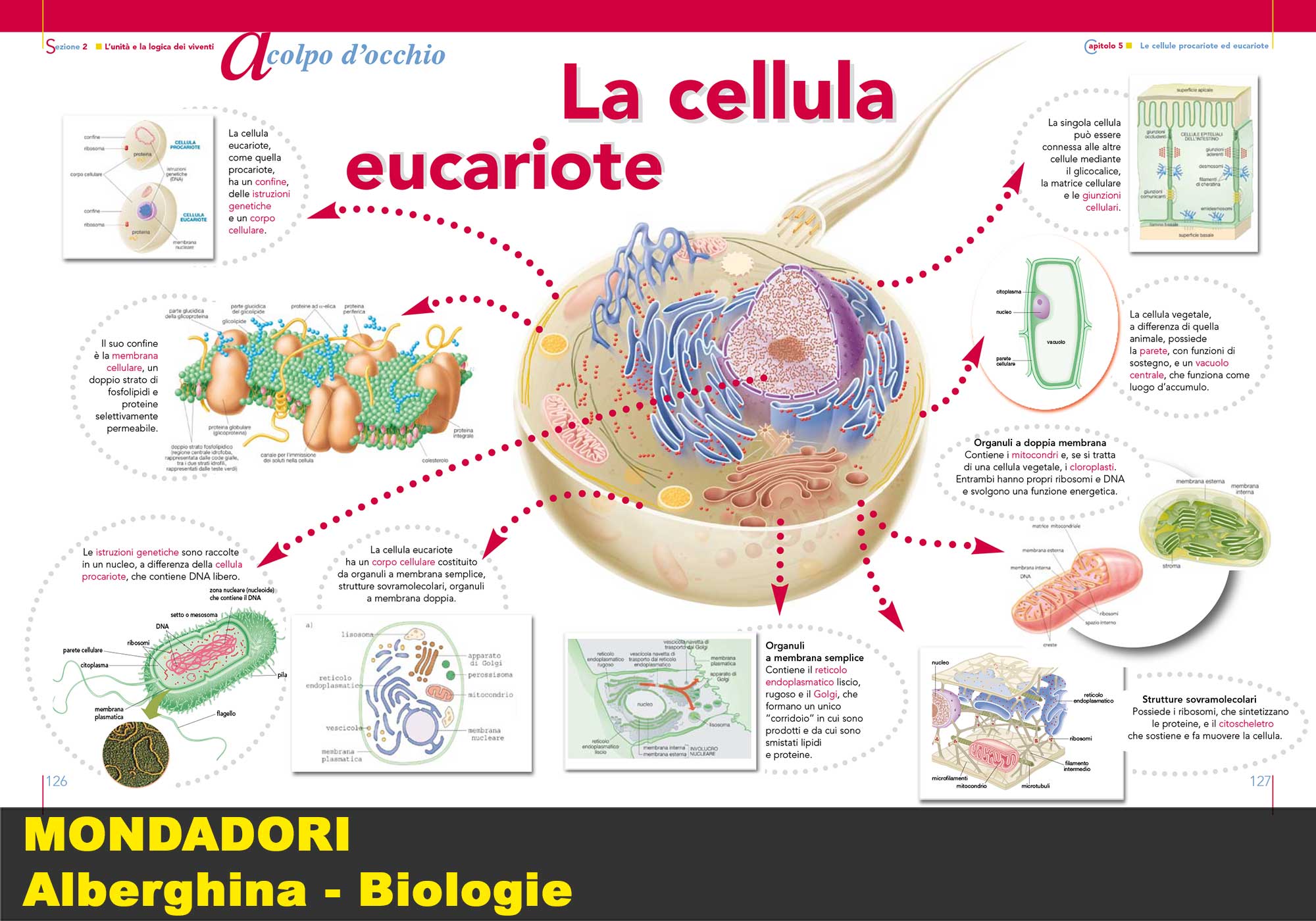 Biologie